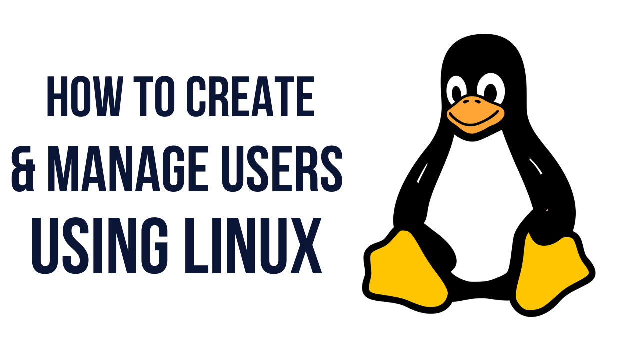 How to Create Users in Linux with useradd command?